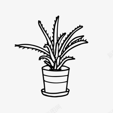 芦荟刺猬室内植物盆栽植物图标图标