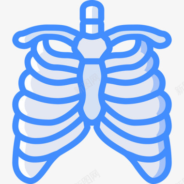 胸骨医用105蓝色图标图标