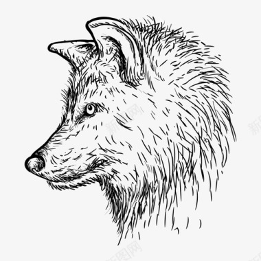 头狼动物狗图标图标