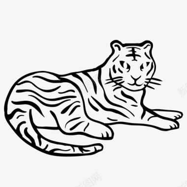 老虎动物猫图标图标