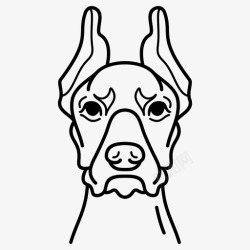 杜宾犬杜宾犬品种狗图标高清图片