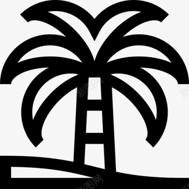 埃及图片棕榈树埃及4线形图标图标