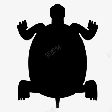乌龟爬行动物贝壳图标图标