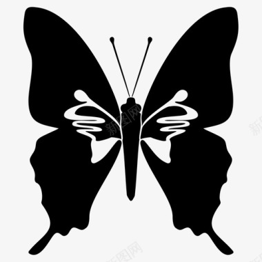 背后有翅膀蝴蝶动物昆虫图标图标