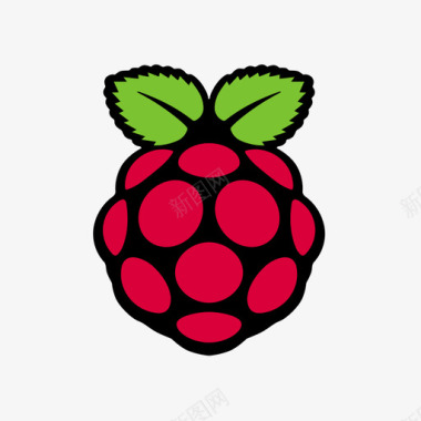 无毒标志嵌入式-Raspberry Pi图标