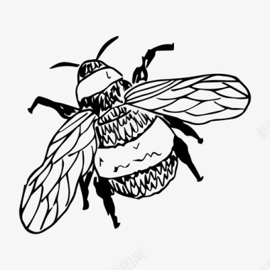 大黄蜂昆虫自然图标图标