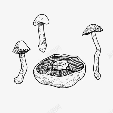 采购产品蘑菇真菌木耳图标图标