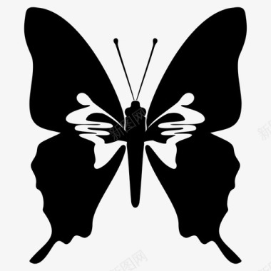 背后有翅膀蝴蝶动物昆虫图标图标