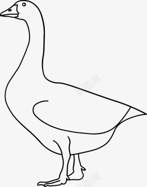 动物鹅动物鸟图标图标