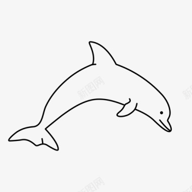 海豚动物海洋图标图标