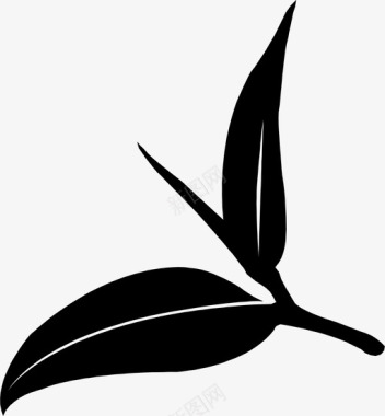 茶叶叶子自然图标图标