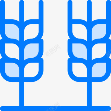 小麦泰国16蓝色图标图标