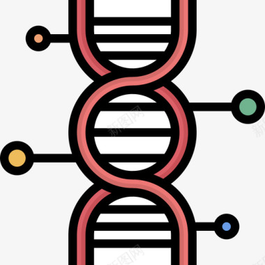 遗传调控遗传学遗传学和生物工程3线性颜色图标图标