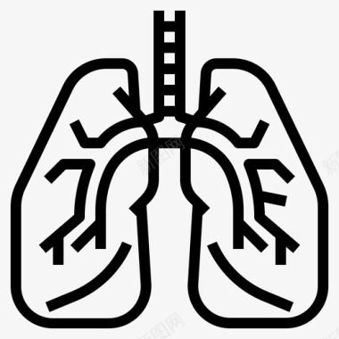 肺肺解剖学医学图标图标
