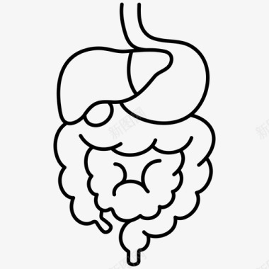 牛肠消化系统结肠肠图标图标