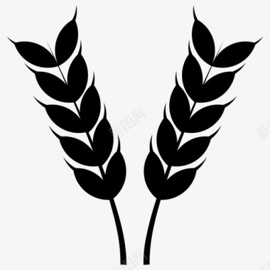 小麦穗大麦谷物图标图标