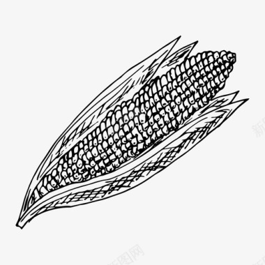 相框素描玉米玉米芯食物图标图标