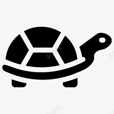 乌龟生日卡海龟海洋生物乌龟图标图标