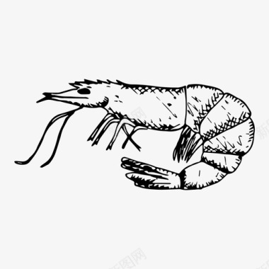 虾食物海鲜图标图标