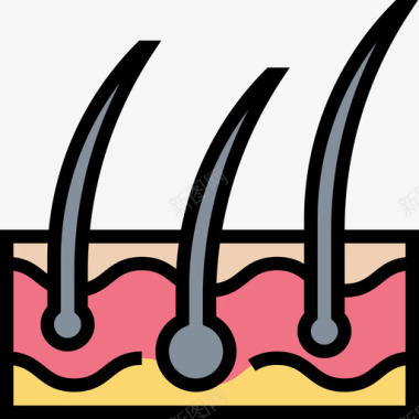 人体架构表皮人体器官6线状颜色图标图标