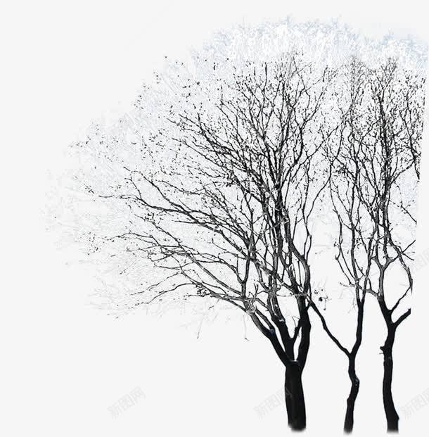 摄影褐色的树木png免抠素材_88icon https://88icon.com 摄影 树木 褐色