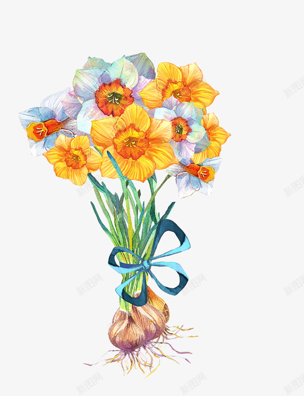 卡通手绘花朵大蒜psd免抠素材_88icon https://88icon.com 卡通 大蒜 手绘 植物 水墨花朵 花朵 蓝色丝带