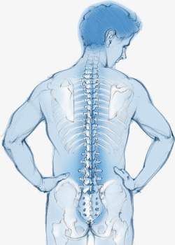 男性的背部脊椎图素材