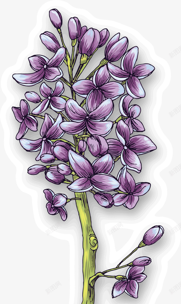 手绘紫色花朵矢量图ai免抠素材_88icon https://88icon.com 手绘紫色花朵 花卉 矢量图
