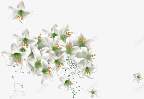白色梦幻花朵植物png免抠素材_88icon https://88icon.com 梦幻 植物 白色 花朵
