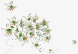白色梦幻花朵植物素材