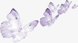 紫蝴蝶素材