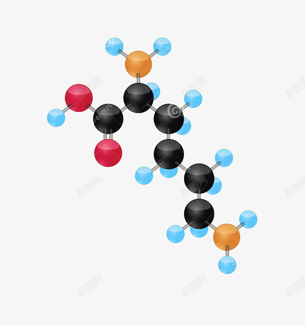 赖氨酸png免抠素材_88icon https://88icon.com 球棍模型 生化医疗 生物化学 科学 赖氨酸