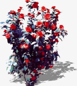 红色梦幻花朵植物装饰素材