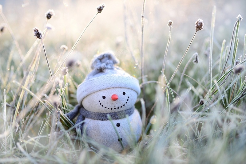冬季雪人围巾jpg设计背景_88icon https://88icon.com 冬季 植物 雪人 霜花