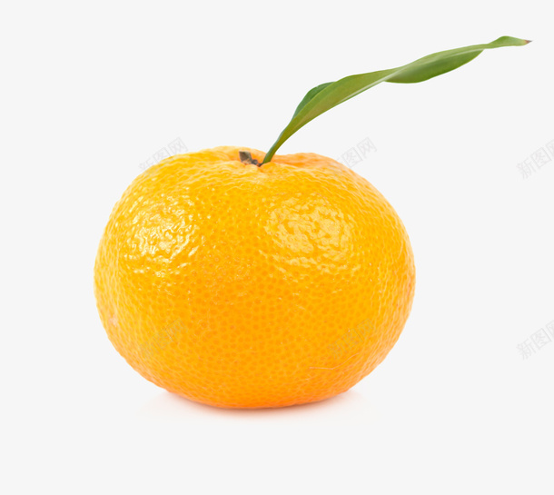 水果橘子png免抠素材_88icon https://88icon.com AI素材橙子 免扣素材 新鲜 橘子 水果