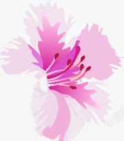 唯美粉色艺术花朵素材