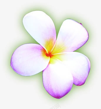 紫色唯美春天花朵手绘png免抠素材_88icon https://88icon.com 春天 紫色 花朵 设计
