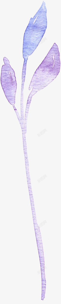 手绘水彩蓝紫色花卉素材