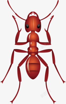 火红的蚂蚁矢量图素材