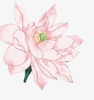 粉色多层创意花朵png免抠素材_88icon https://88icon.com 创意 粉色 花朵
