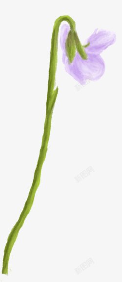 紫色唯美艺术花朵植物素材