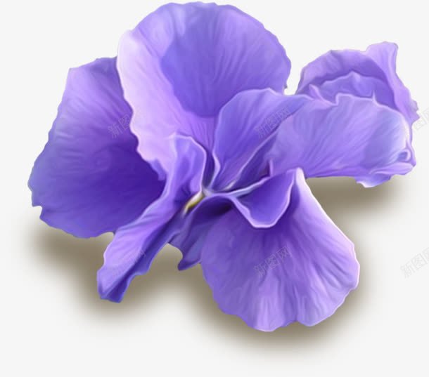 漂亮紫色花朵png免抠素材_88icon https://88icon.com 漂亮花朵 紫色花朵 花瓣 鲜花