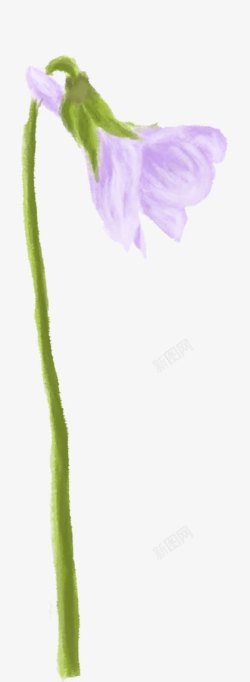 紫色水彩花朵低头素材