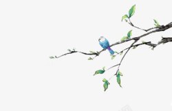 手绘停在枝头上的蓝鸟素材