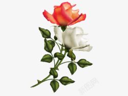 艺术手绘漂亮玫瑰花素材
