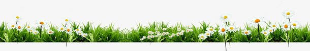 白色春天花朵植物png免抠素材_88icon https://88icon.com 春天 植物 白色 花朵