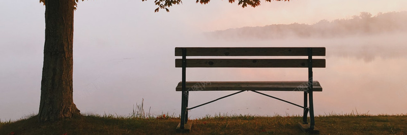 秋天落叶枫叶景色22背景