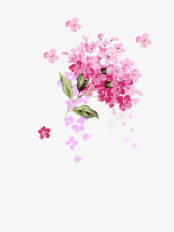 粉色花卉图案素材