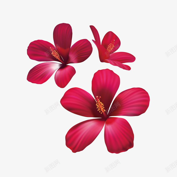 红色精美花矢量图ai免抠素材_88icon https://88icon.com 精美 红色 花 花卉 花朵 矢量图