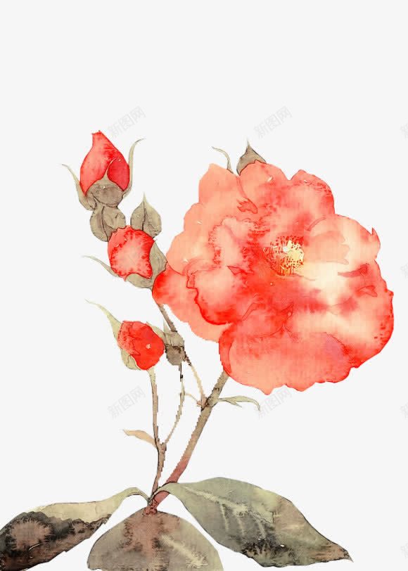 花瓣花蕊花朵手绘花png免抠素材_88icon https://88icon.com 花朵 花瓣 花蕊